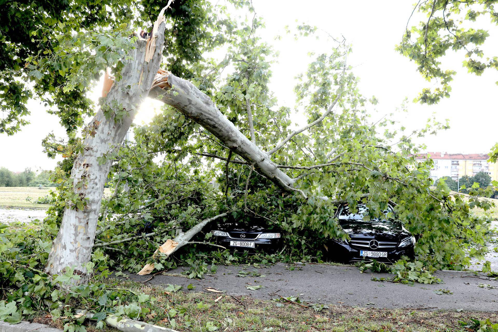 Zagreb: Posljedice oluje i dalje vidljive na ulicama