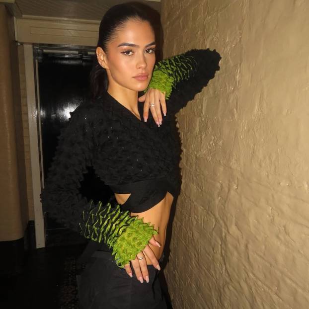 FOTO Ovo je ljepotica zbog koje su zaratili Beckhamovi sinovi...