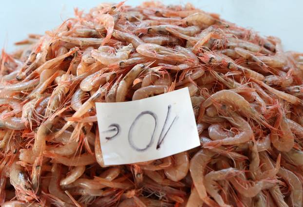 Šibenik: Ponuda ribe i ostalih morskih delicija