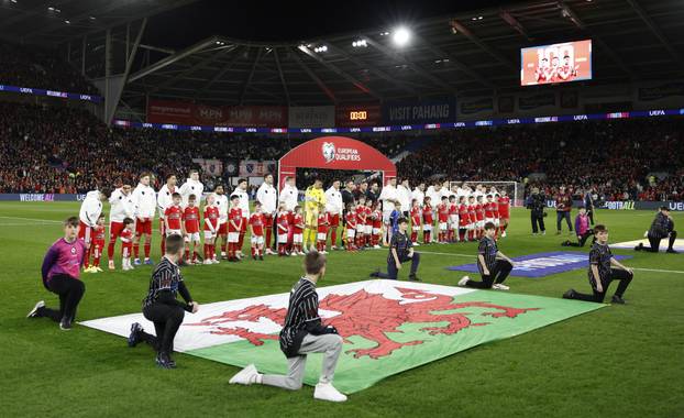 FIFA World Cup - UEFA Qualifiers - Semi Final - Wales v Bosnia and Herzegovina