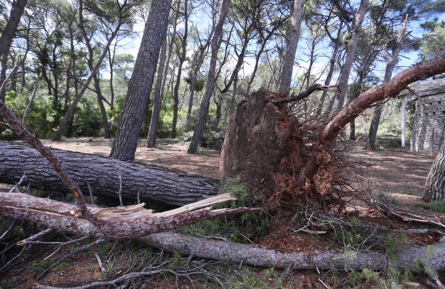 Posljedice velikog nevremena u Splitu, Marjan oštećen i zatvoren za građane