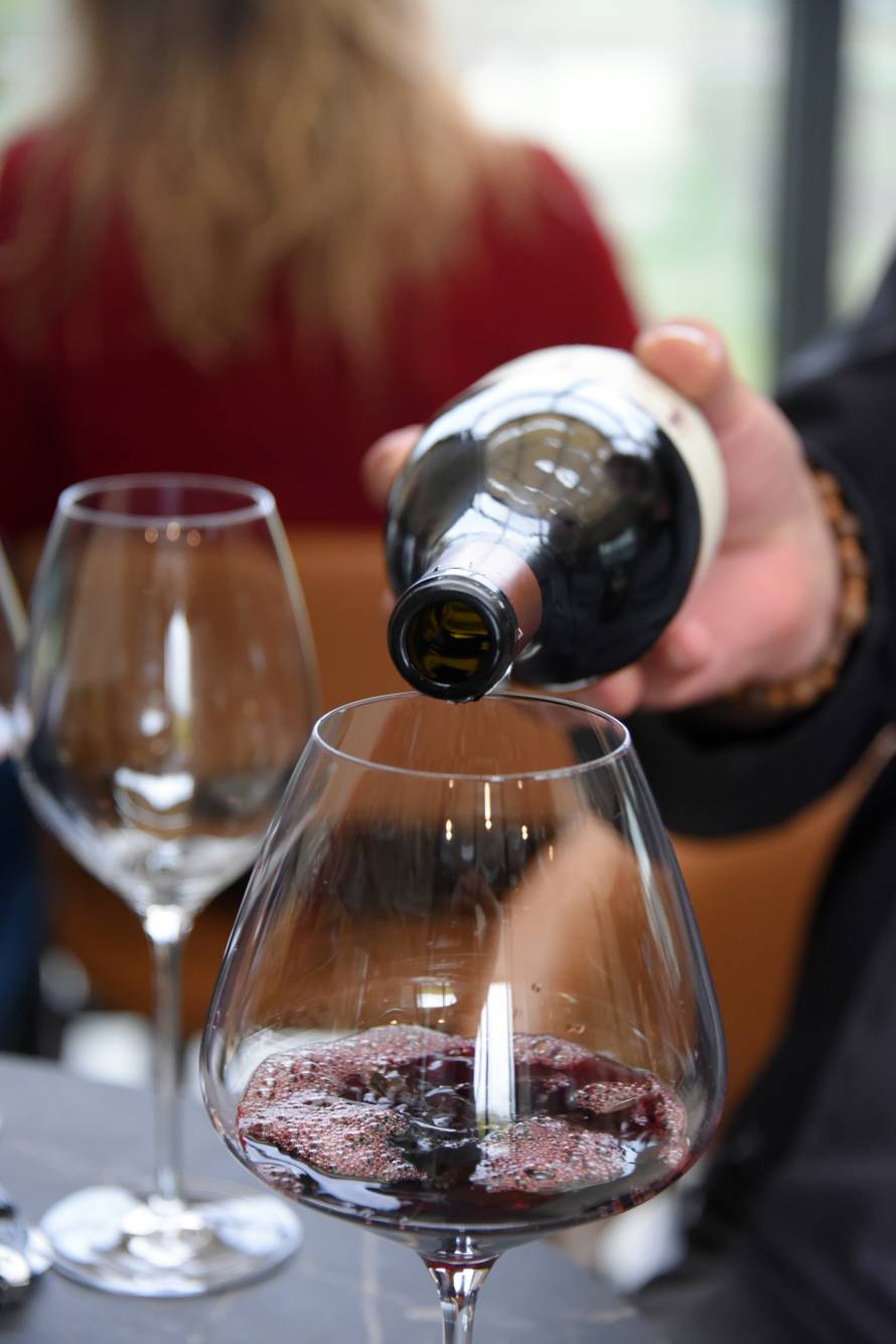 Vinarija Tomaz u Motovunu