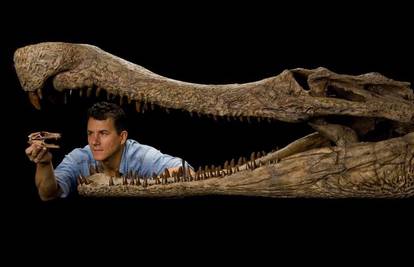 U Sahari iskopani fosili nekoliko vrsta krokodila