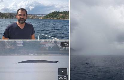'Nema razloga za strah': Barem dva velika kita su u Jadranu, a dnevno pojedu čak tonu hrane