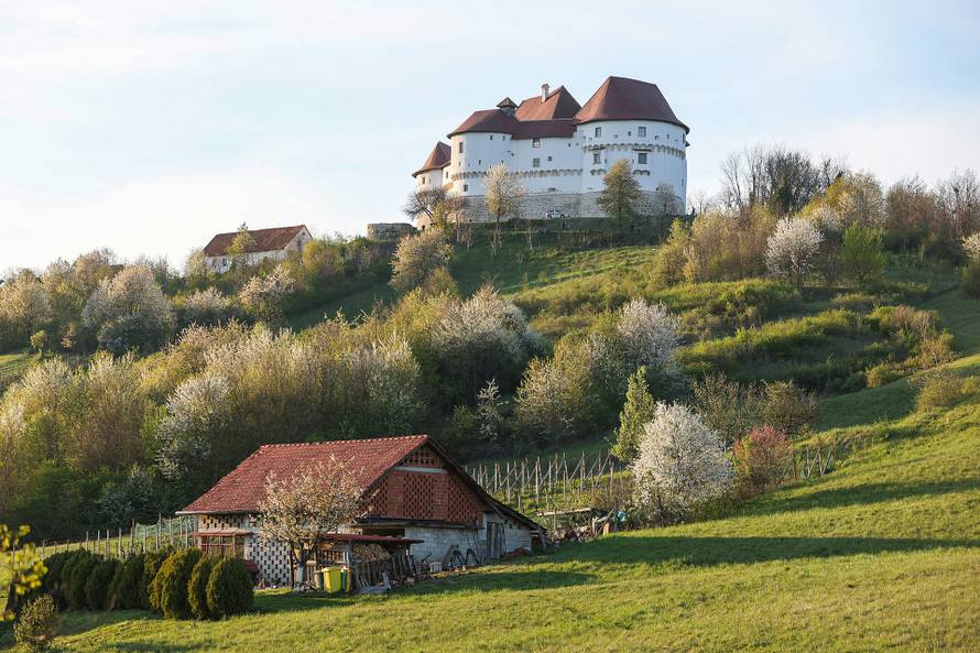 Kod Dvora Velik Tabor top usmrtio muškarca