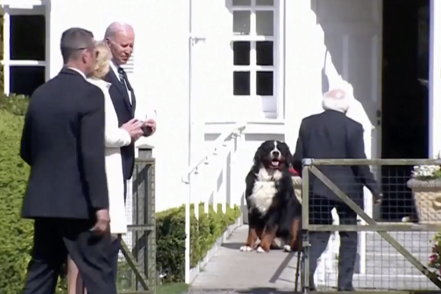 biden nije uspio zadiviti psa irskog predsjednika, počeo je lajati na njega