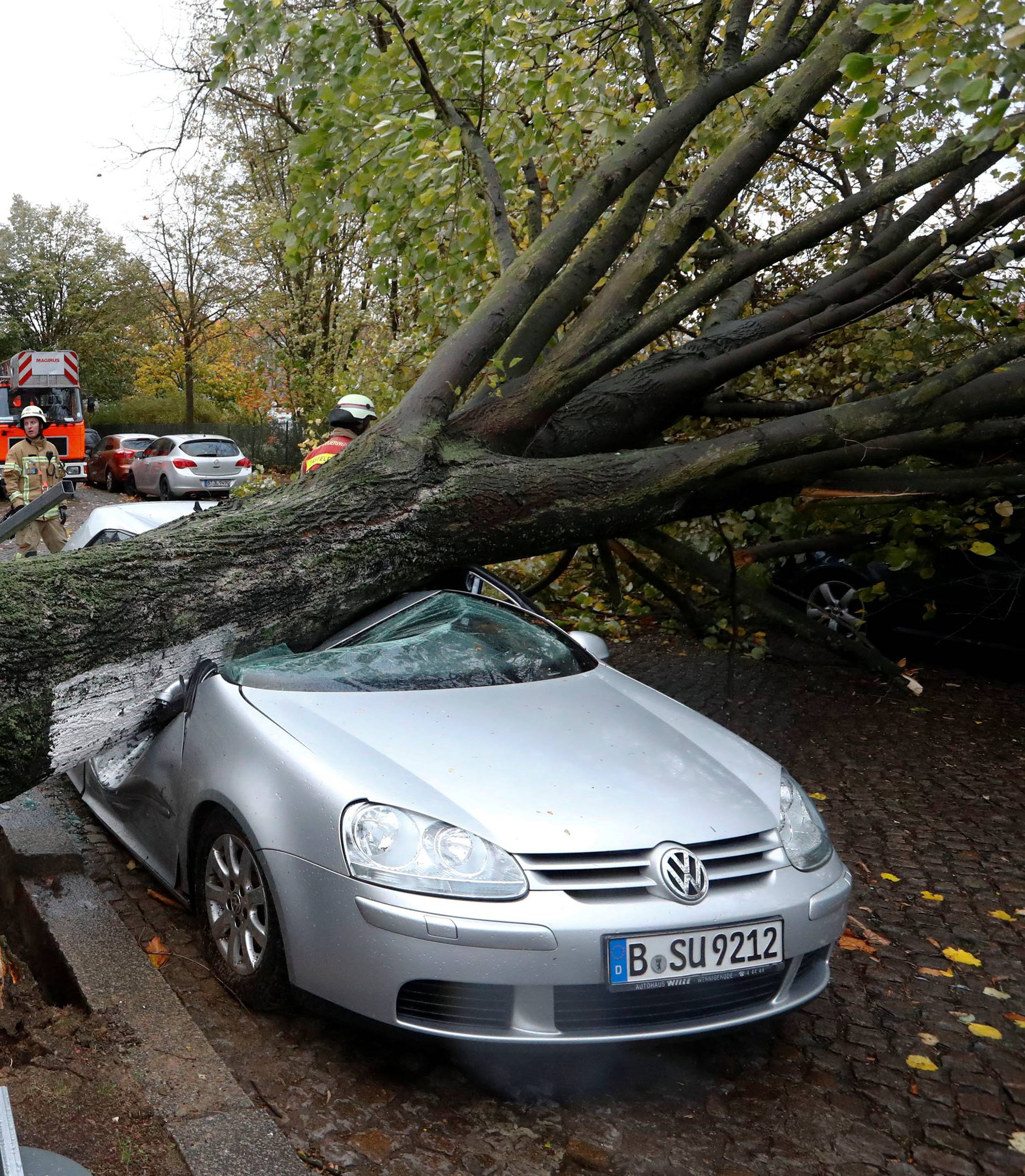 Firefighters are pictured next to a car damaged by a tree during stormy weather caused by a storm called "Herwart" in Berlin
