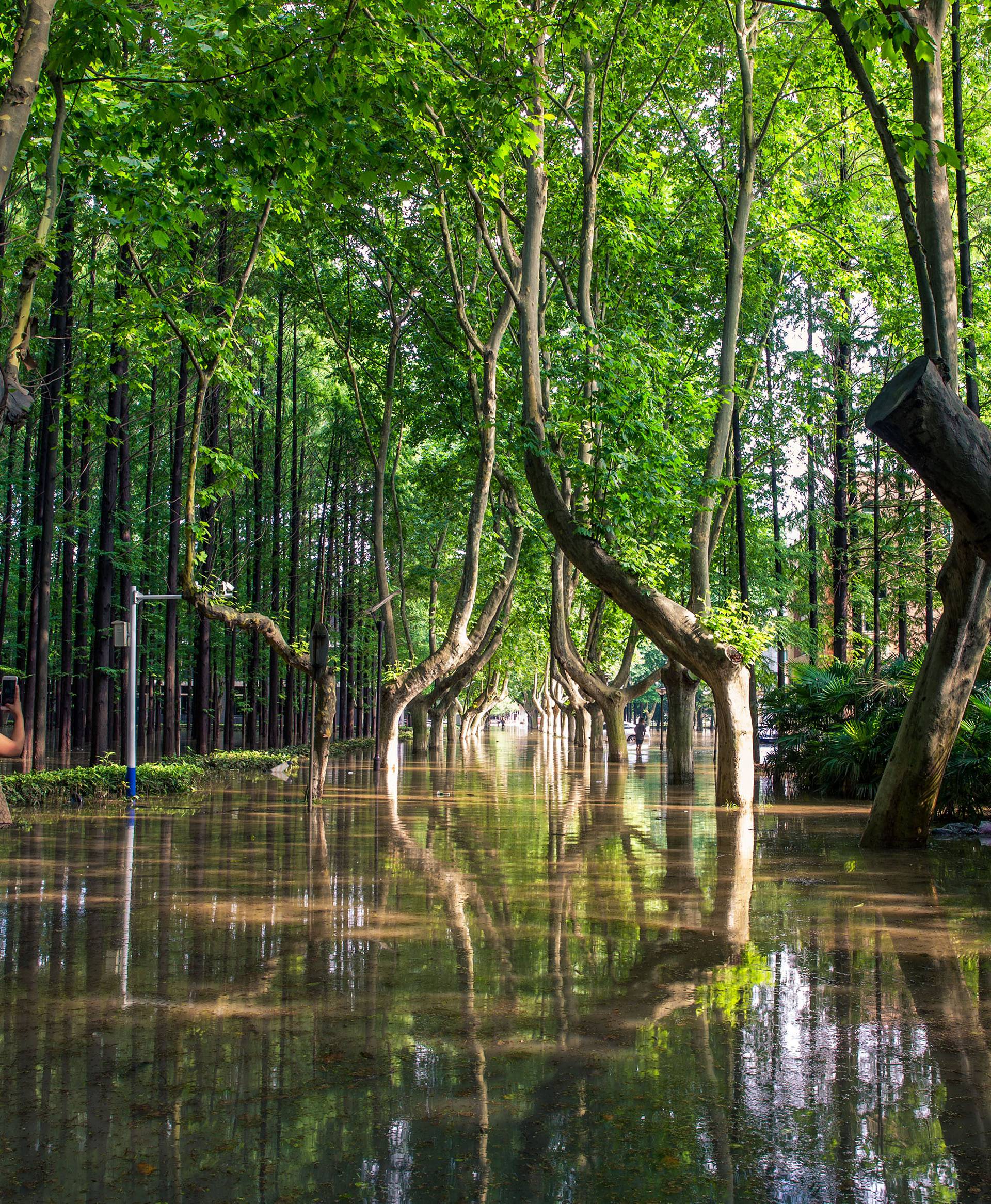 A woman takes picture of a flooded street at Nanjing University of Science and Technology, in Nanjing