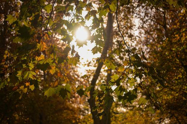 Zagreb: Jesen u centru grada