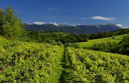 Prosecco Days – vrhunska talijanska pjenušava vina u srcu Zagreba