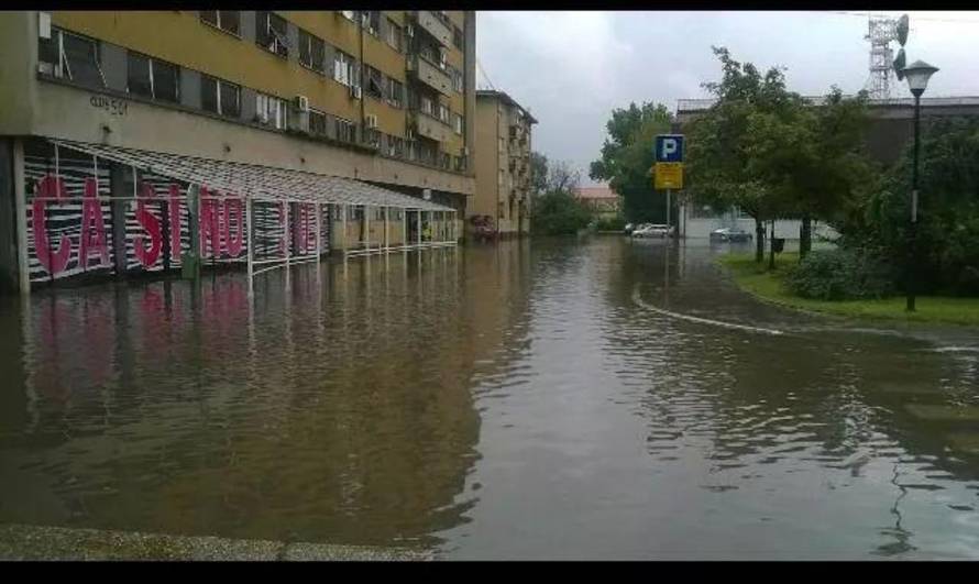 Nemanja Ivanović/Twitter