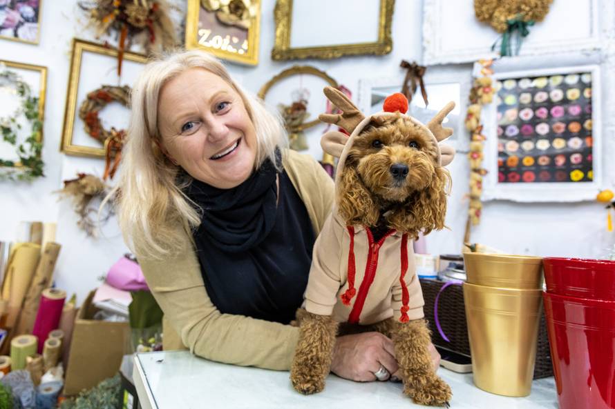 24sata: Pula: Pas pozira ispred cvjećarnice i glumi soba