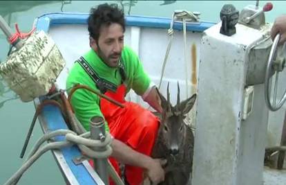 Ulov života: Pogledajte što je ulovio jedan talijanski ribar