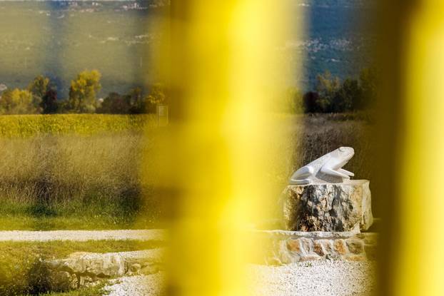 U Zmijavcima otkriven spomenik žabi