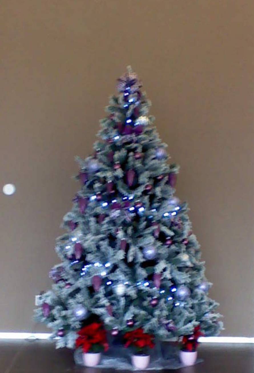 Barbara Bunjevčević