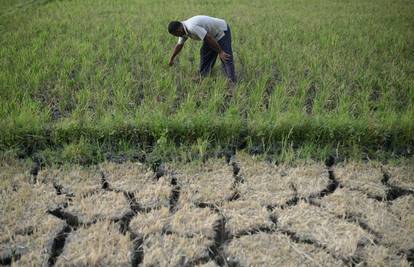 Prošlo 10 godina od Pariškog klimatskog sporazuma: Svijet je i dalje jako daleko od ciljeva