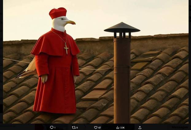 FOTO Internet pun memova zbog konklave. Ovo su najbolje fore! Galeb je postao faca...
