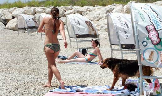 Najljepše plaže za kućne ljubimce na Hrvatskoj obali