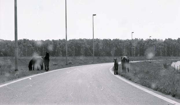 Autocesta u Okučanima 4.5.1995.