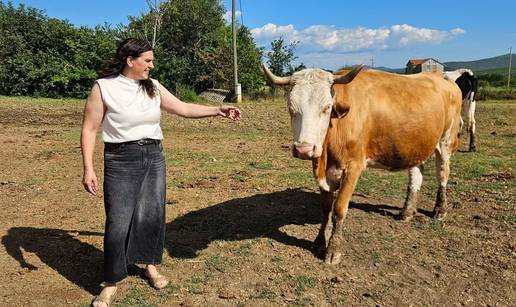 Neda Popovi&cacute; iz Drni&scaron;a u ratu je izgubila sve, a onda izgradila uspje&scaron;no gospodarstvo