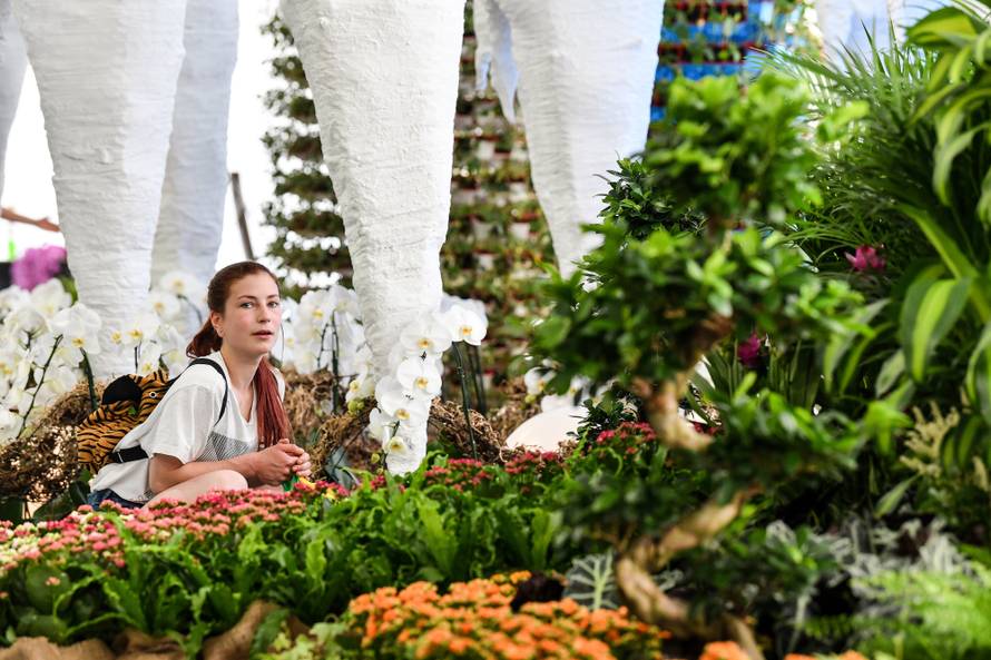 Floraart: Sadnice cvijeća od 2 kune, a za 25 mini vrt u posudi