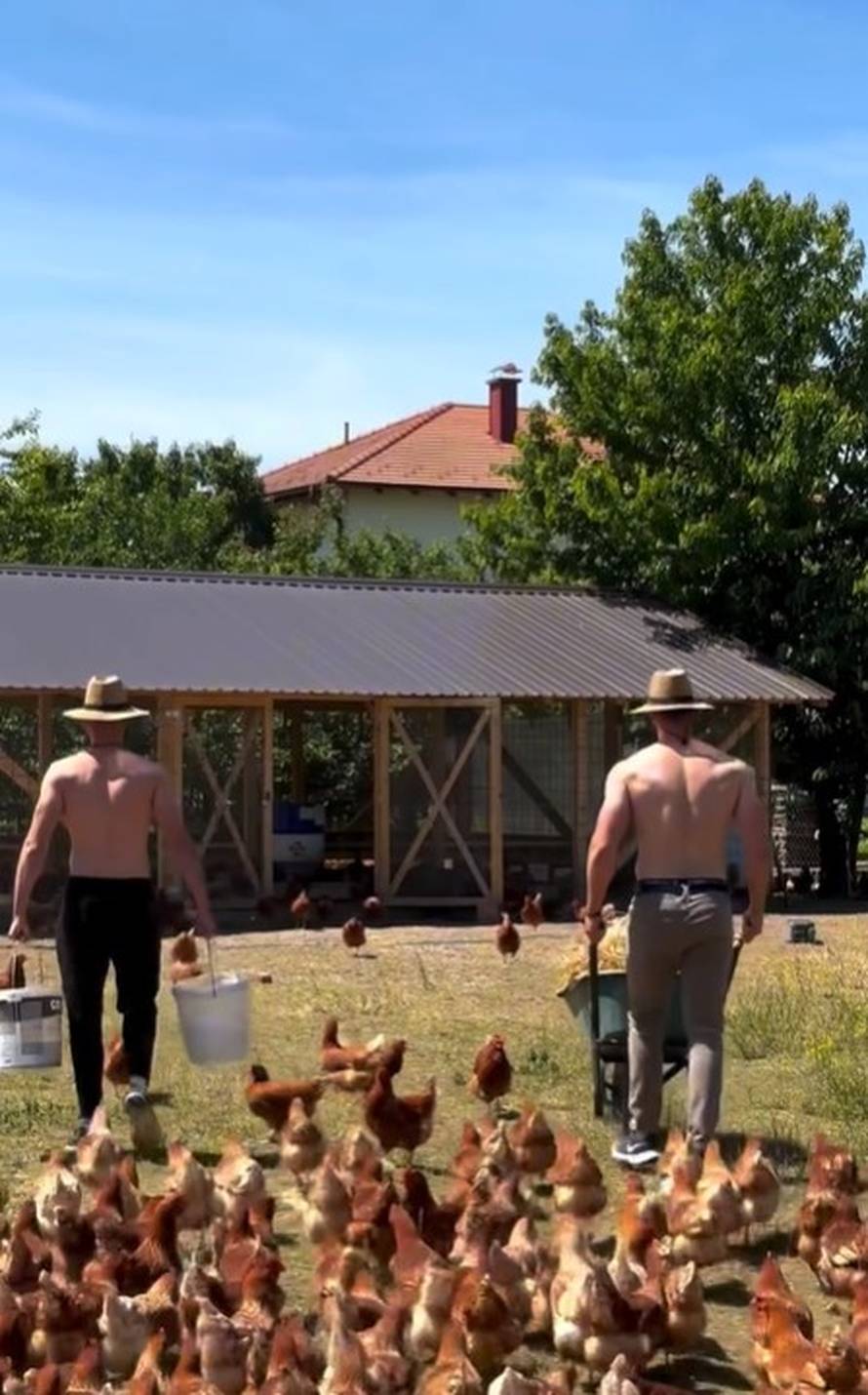 Žene zaludio zgodni farmer iz BiH! Ne vide ni koke ni rajčice: 'U sunce ti, kako do sjemena?'