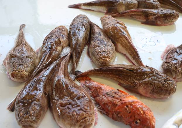 Šibenik: Ponuda ribe na ribarnici
