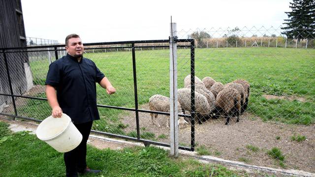 Svećenik i pastir: Volim ovce jer su i one Božja stvorenja