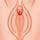Klitoris_1