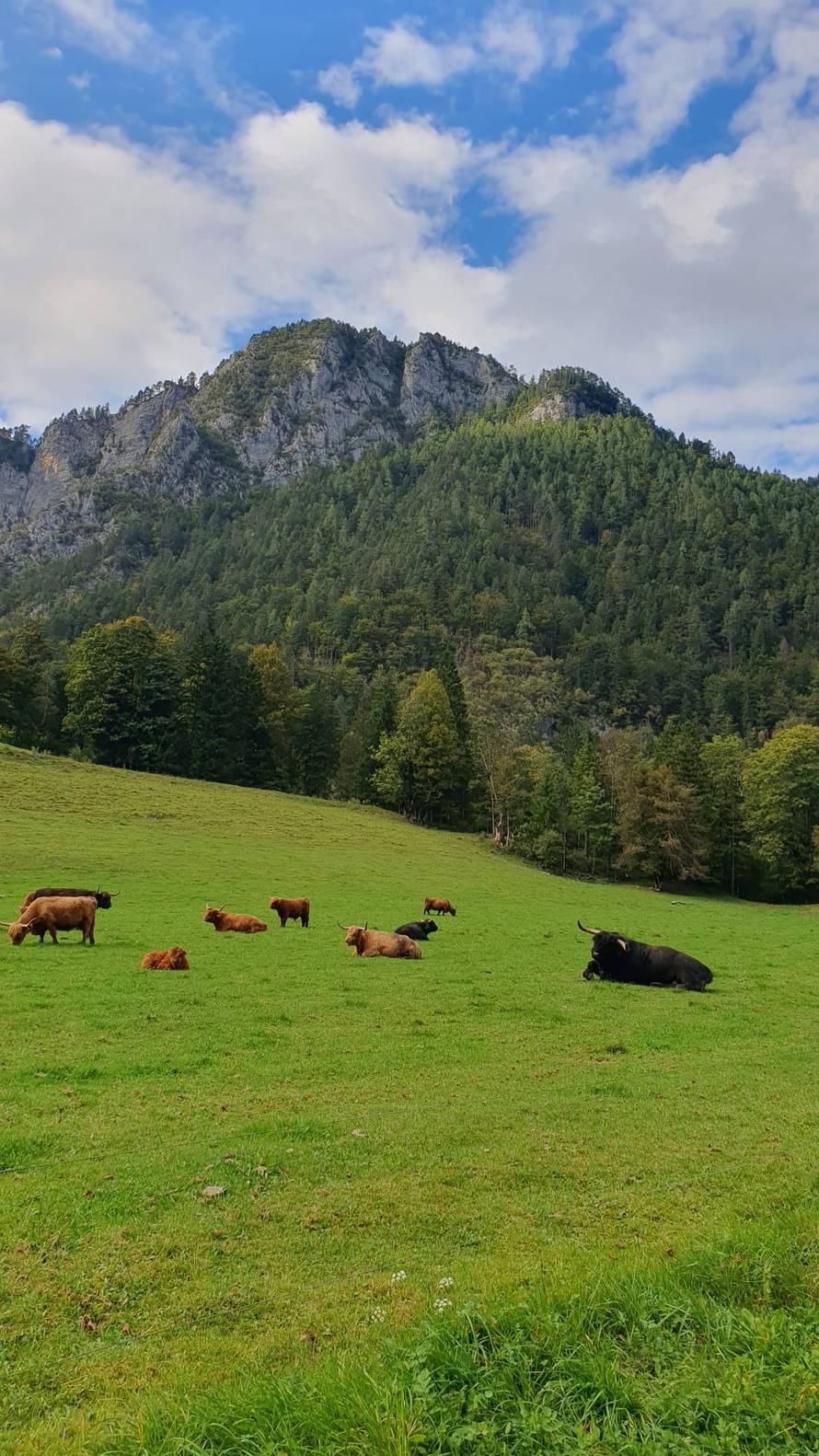 Bijeg u zeleno srce Slovenije: Proveli smo vikend u drvenoj kolibi u kampu tik uz Savinju