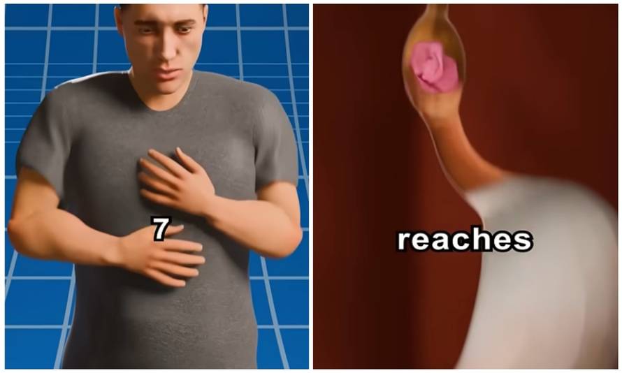 VIDEO Ova simulacija pokazuje što se zapravo događa u vašem tijelu kada progutate žvaku