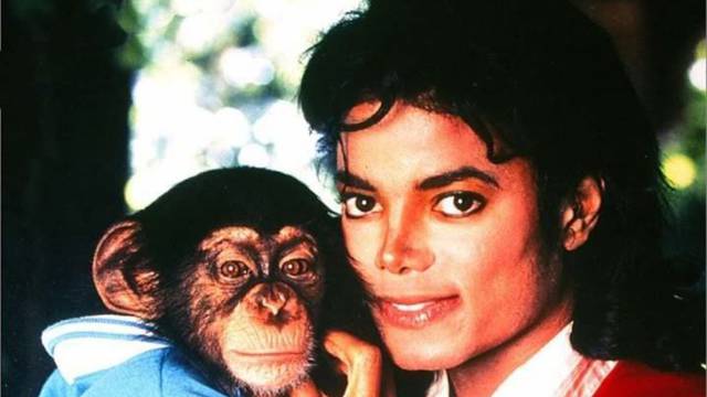 Stručnjakinja tvrdi: Čimpanza M. Jacksona je zlostavljana