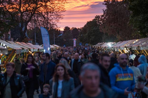 Održana 21. Bučijada i Sajam bučina ulja u Ivanić-Gradu