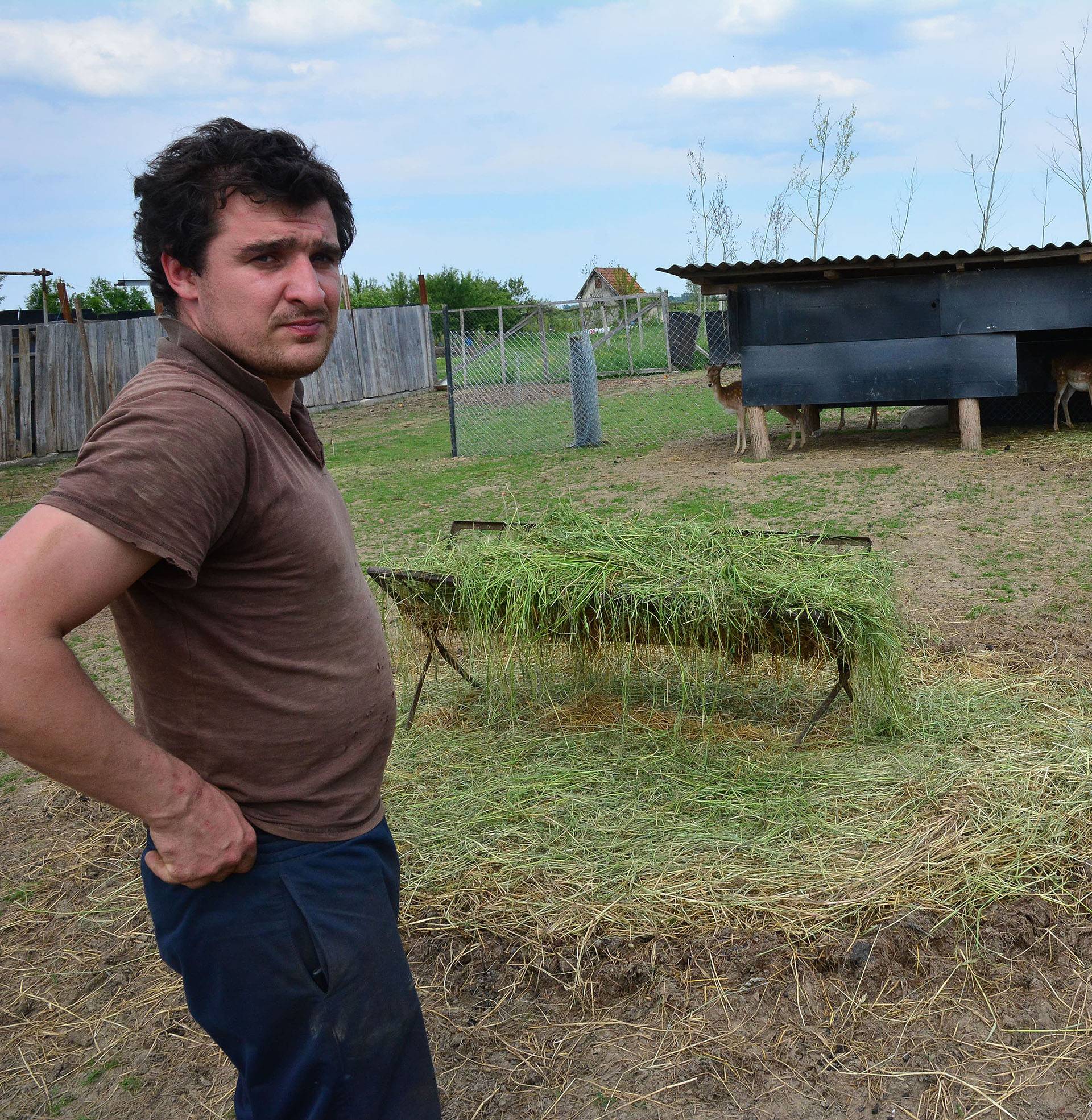 Strava u Slavoniji: Strah me da će nakon srna napasti i krave