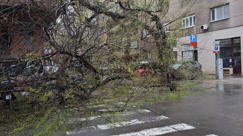 FOTO Kaos u Zagrebu: 'Stablo se srušilo pred nama. Dijete mi je odmah krenulo plakati...'