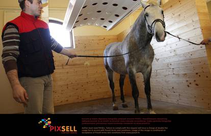 Konji u 'solariju': Lipicanci u Đakovu vole se tuširati i sušiti