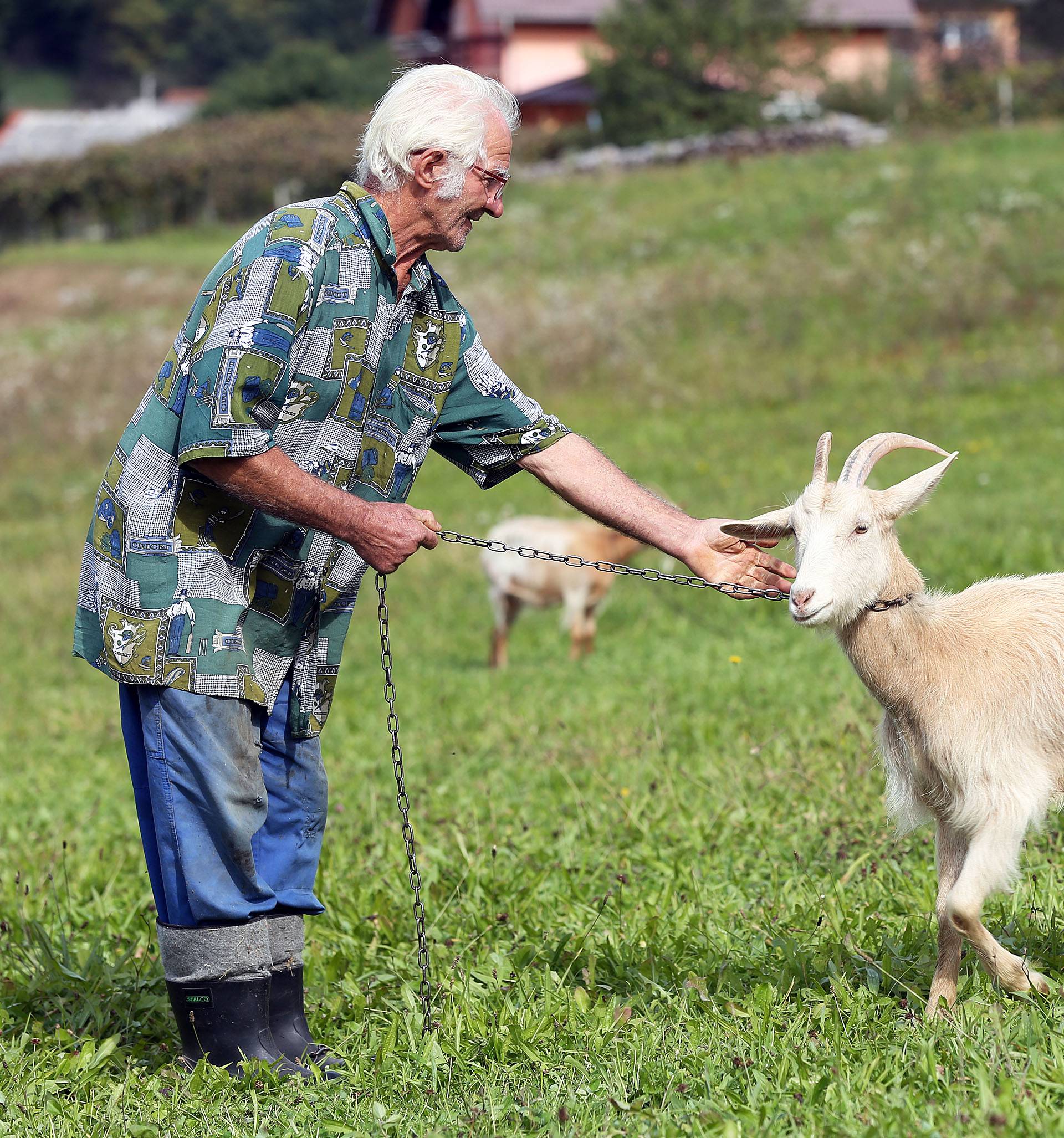 Rastaje se teška srca: Moje koze trebaju dom, pomozite mi