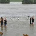 VIDEO Djelatnici Green River Festa spašavaju svoju opremu potopljenu u nabujaloj Savi