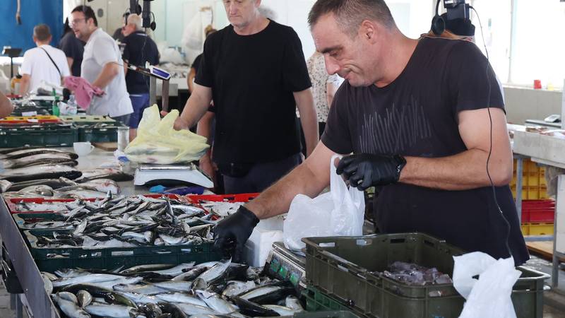 FOTO Svi misle da srdela nema, ali ribarnica u Šibeniku ih je puna! Kila ide već za 5 eura