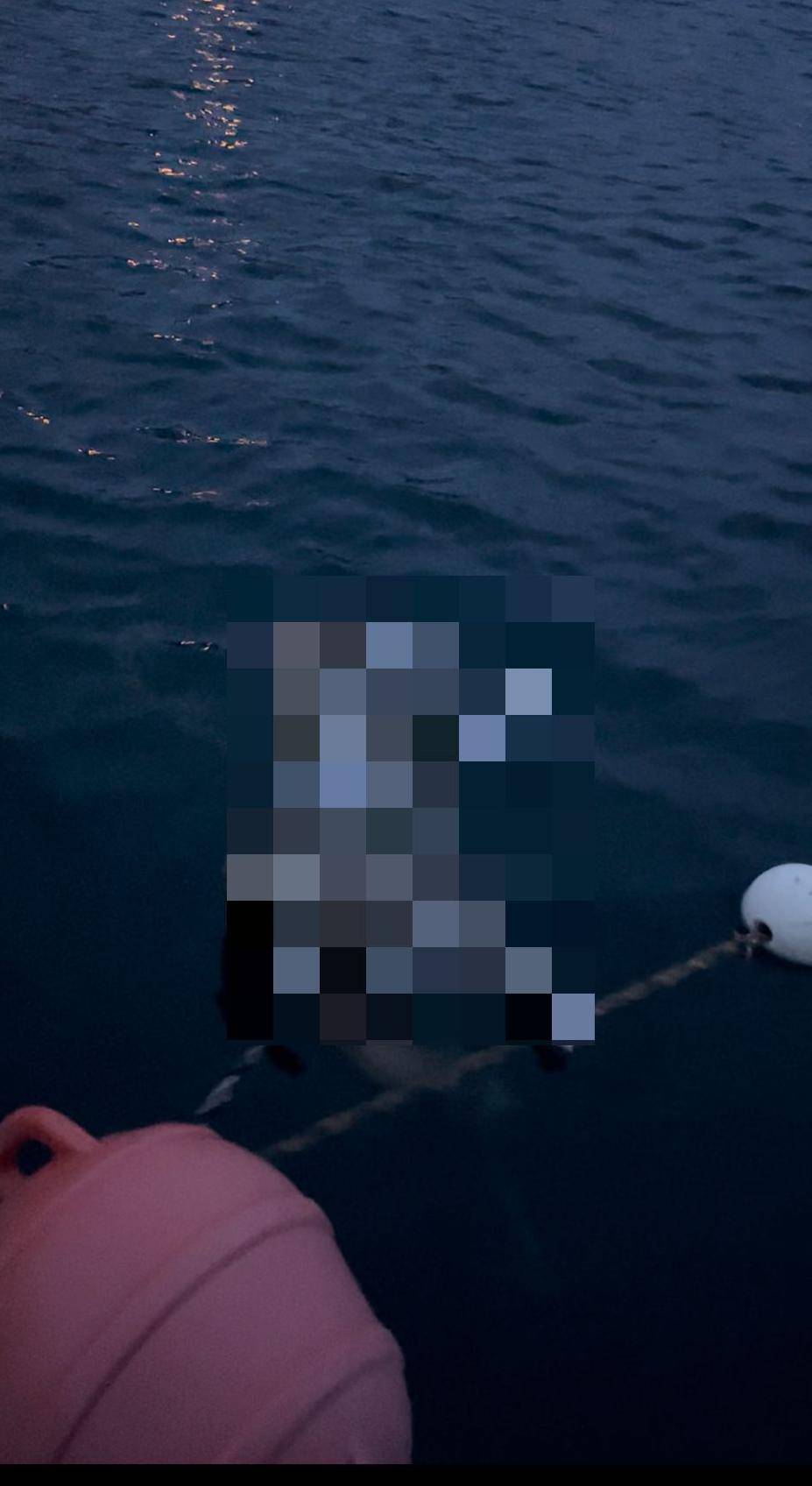 Grozan prizor u Dalmaciji: Netko je zavezao psa za bovu u more. Uginuo je. Stanovnici su u šoku