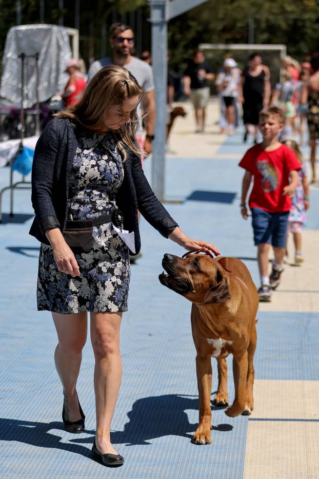 Zaton: Međunarodna izložba pasa pod nazivom CACIB Zadar 2025