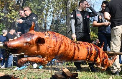 Stroge kontrole na Pečenkijadi u Sl. Brodu, organizatori: 'Možete peći i druge životinje'