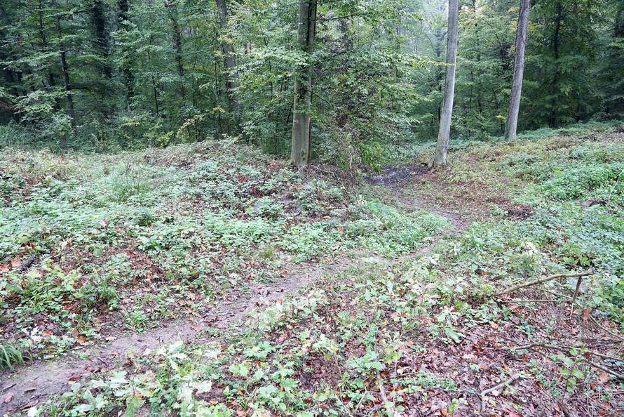 Shrvani otac:  Želio sam vidjeti gdje su mi poginuli žena i djeca