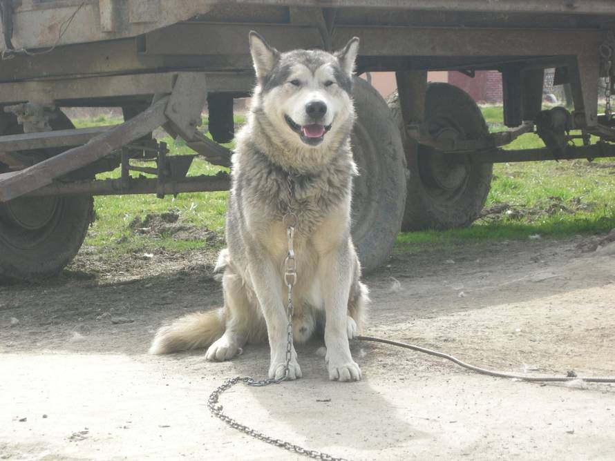 Boris Gajdukov/24sata