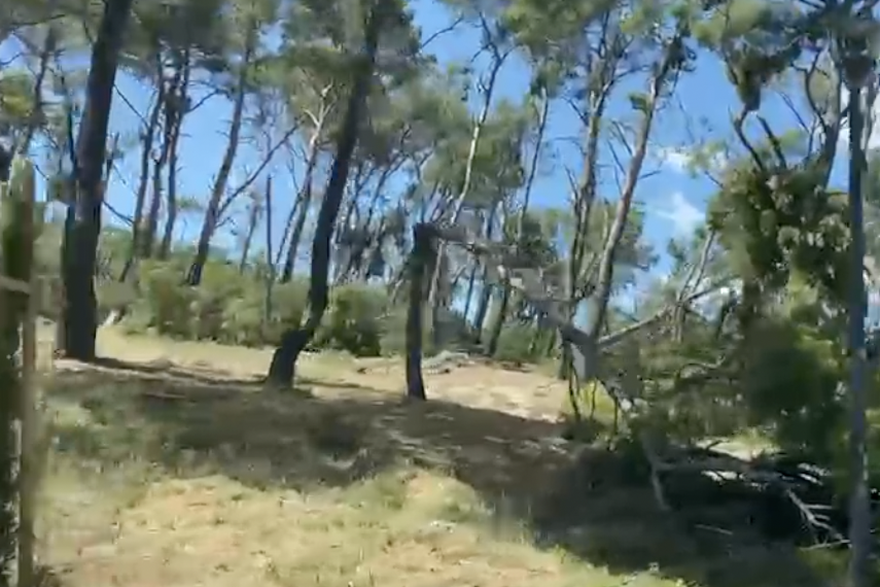 O&scaron;te&cacute;ena stabla u Park &scaron;umi Marjan