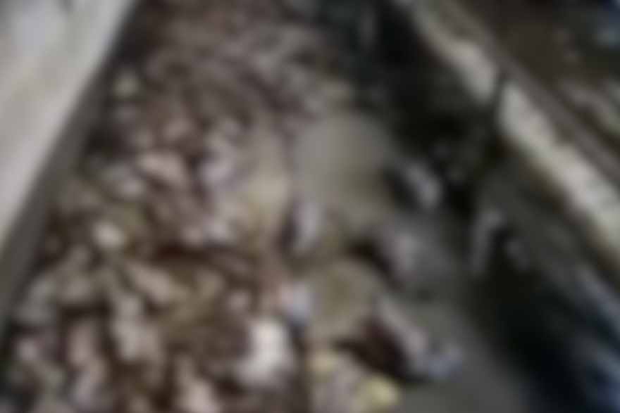 Izgorjele kokoši kod Biograda