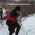 VIDEO Dramati&ccaron;na akcija: Iz ledenog Dunava spasili su psa