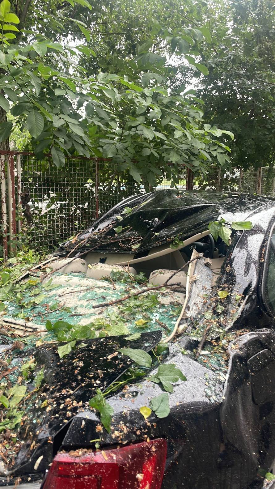 24sata uživo iz Zagreba: Oluja pogodila grad! Ovo je ogromno drvo koje je zdrobilo automobil