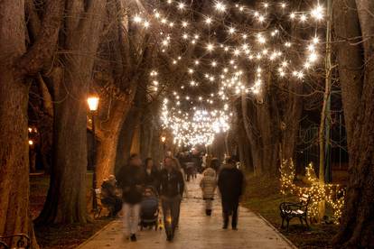 Ukrašene ulice Osijeka povodom ovogodišnjih blagdana