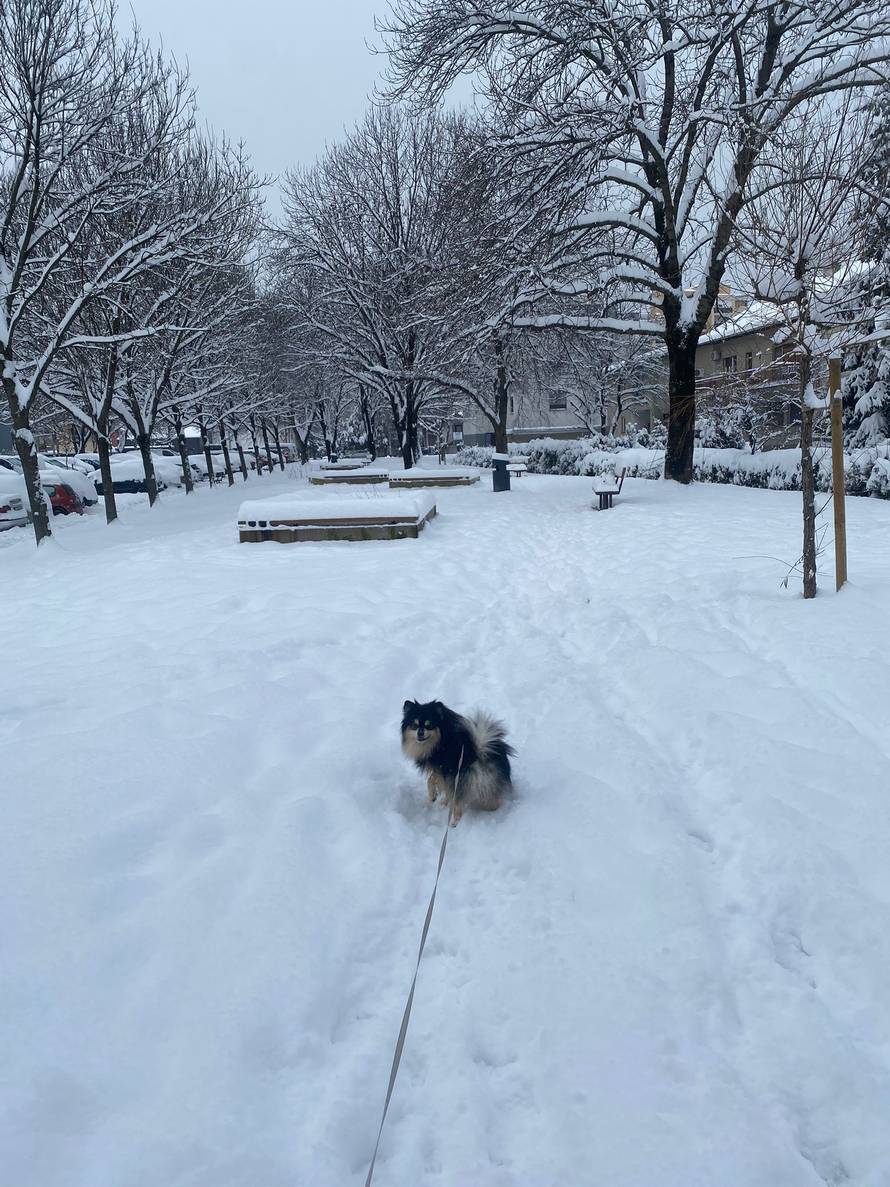 Općinska komunalka sama 'izlopatala' snijeg sa staze: 'Nema nikakve drame u tome'